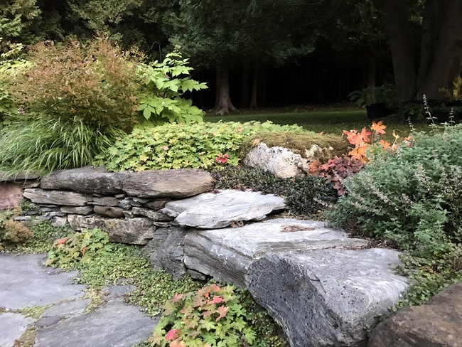 Garden Maintenance 15