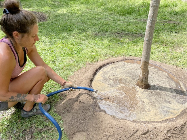 Garden Maintenance 18