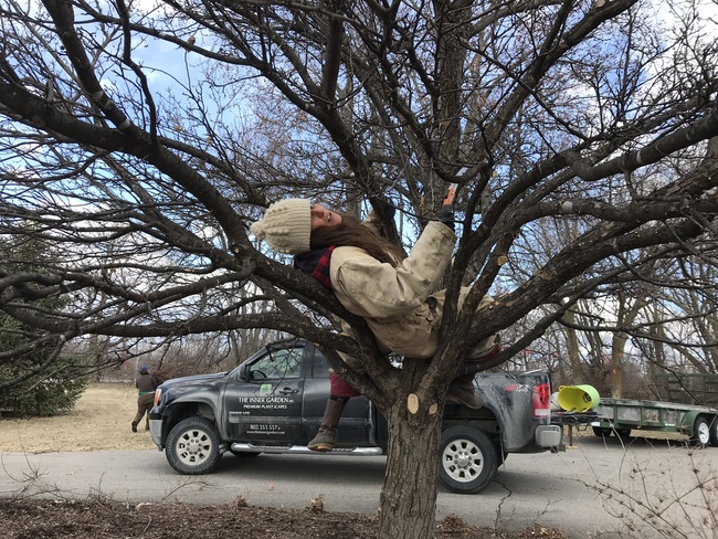 Garden Maintenance 8